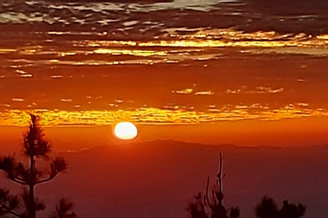 TEIDE NIGHT, Stargazing Bus Tour, Meal & Drinks included! - Who should book this Teide Night tour, and who should skip it?