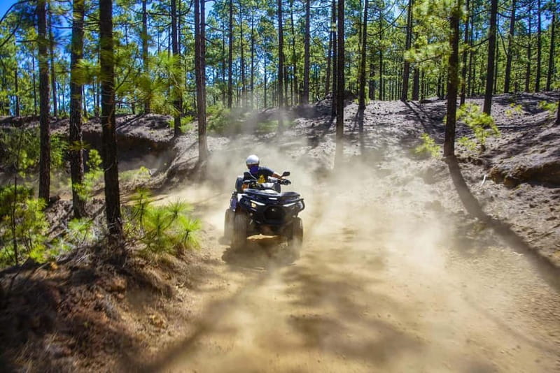 Teide Quad Tour - Tenerife - Daytime quad tour vs sunset quad tour: choose your kind of magic