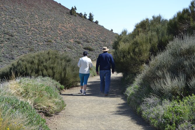 TEIDE: VIP tour - What makes the guide style feel VIP, not just informative
