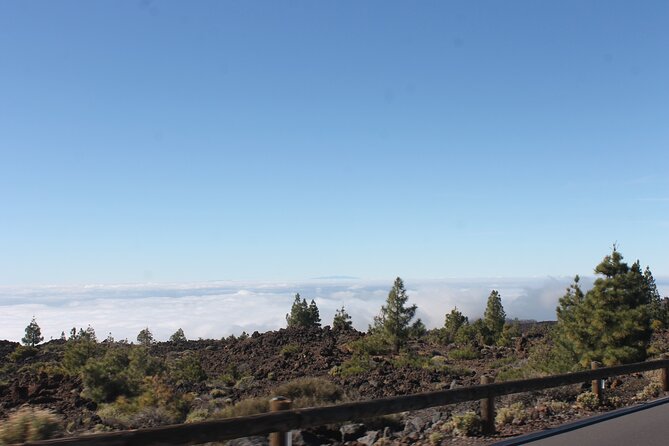 Teide Volcano National Park Quad Biking Tour - Safety and practical limits: the 160 kg rule and weather reality