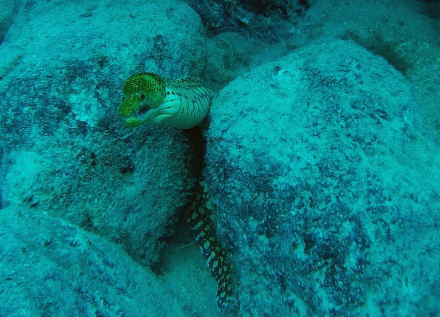 Tenerife: 2 Diving Sessions for Certified Divers - FAQ