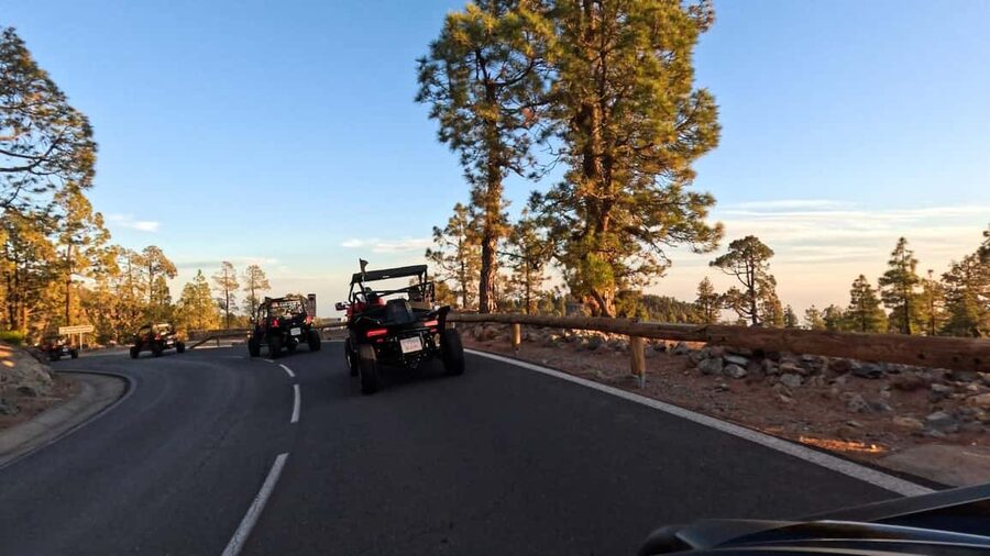 Tenerife: 3,5 Hours Buggy Tour from South Tenerife - From Las Chafiras to Teide, what the self-drive actually means