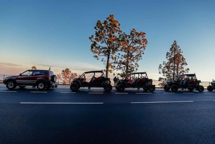 Tenerife: 3,5 Hours Buggy Tour from South Tenerife - Price and value: is $230 per group for up to 2 a fair deal?