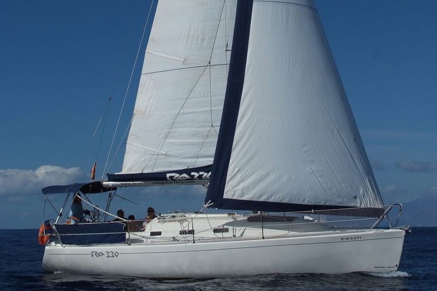 Tenerife: 3 &-6 Hour Private Whale & Dolphin Watching - What you might see: pilot whales, dolphins, turtles, and more