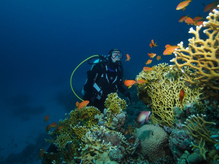 Tenerife: 3-Day Open Water Scuba Diver Course - Quick Hits You’ll Care About