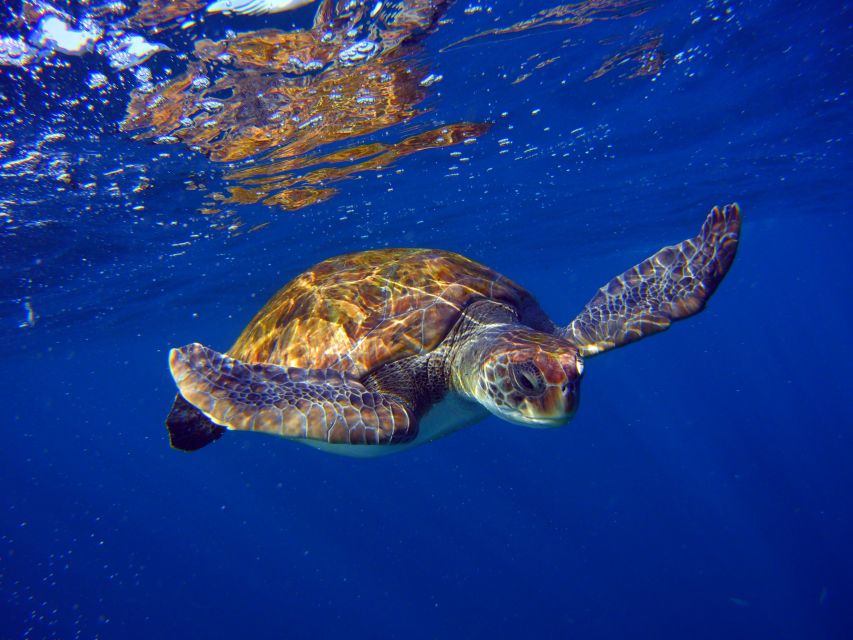 Tenerife: 3-Day Open Water Scuba Diver Course - Why Tenerife Works for Your SNSI Open Water Start