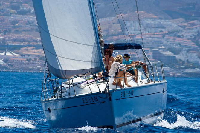 Tenerife 3-Hour Discover Whales and Dolphins - Why this small sailboat is the right way to find whales in Tenerife