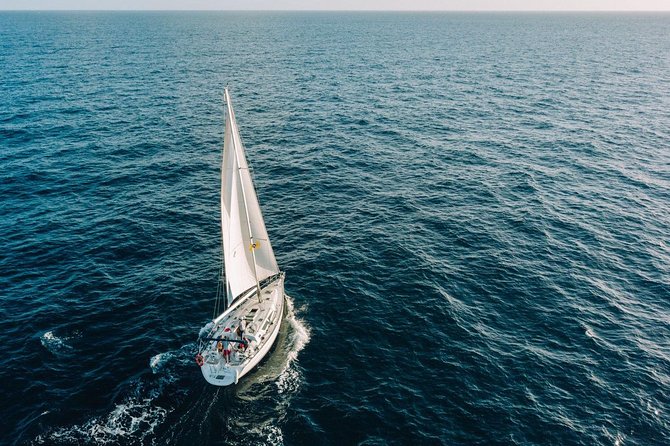 Tenerife 3-Hour Discover Whales and Dolphins - Lunch and drinks on the water: included value that avoids decision fatigue