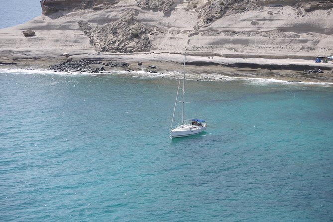 Tenerife 3-Hour Discover Whales and Dolphins - Puerto Colón timing: choose 10:30 am or 1:30 pm for your day