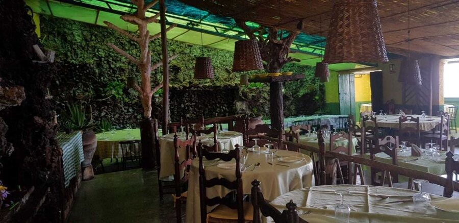 Tenerife: 4-Hour Gauchinche Food Tour - Why a Northern-Coast Guachinche Tour Makes Sense