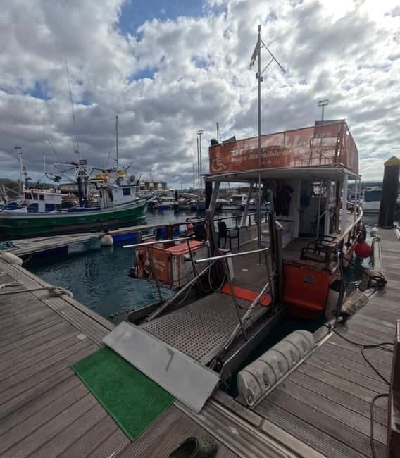 Tenerife: Accessible Whale Watching & Ocean Experience - Key things that make BAT4ALL special