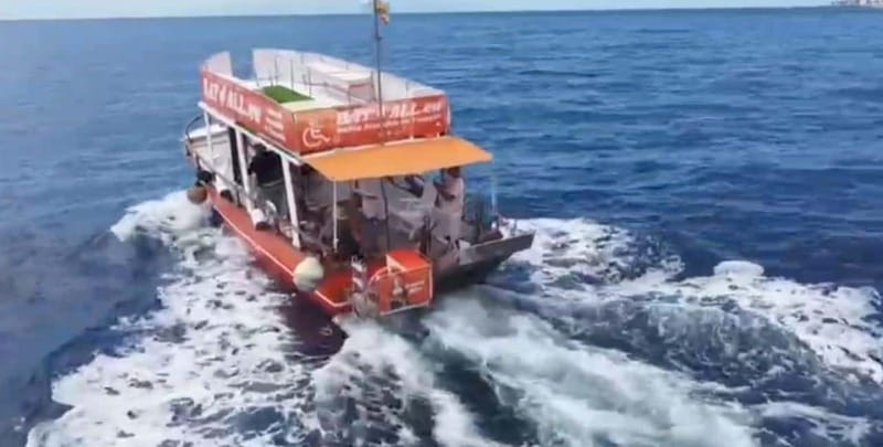 Tenerife: Accessible Whale Watching & Ocean Experience - Should you book BAT4ALL in Tenerife?
