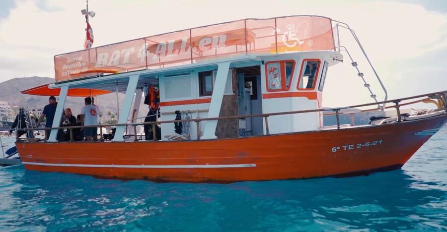Tenerife: Accessible Whale Watching & Ocean Experience - Getting the guides right: Captain Santos, Fabio, Antonio, and clear communication