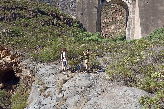 Tenerife Alternative Tour. Arico, Güímar, Fasnia- photos included - Optional Stop 4: Pyramids of Güímar, volcanic rock terraces and a botanical park