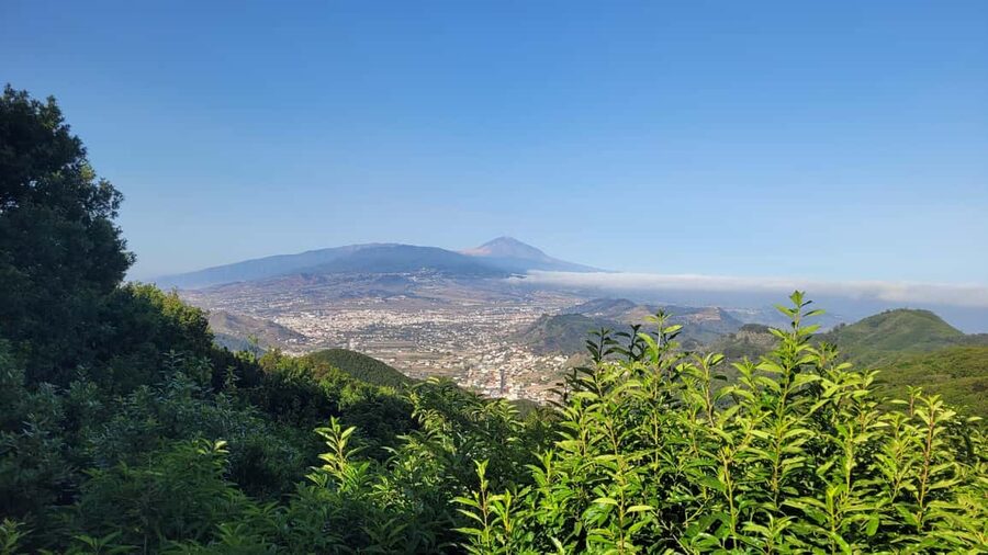 Tenerife Anaga Mountains: Circular Hike in the Laurel Forest - Small Group 10-12 P - Key things to know before you lace up