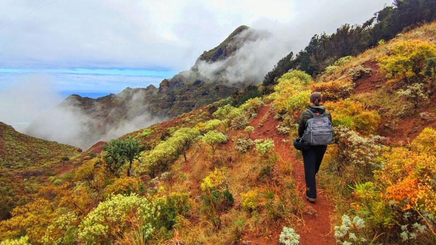 Tenerife: Anaga Mountains & Enchanted Forest Hiking Tour - Pickup timing: getting to the good part of the island