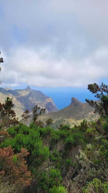 Tenerife Anaga Mountains: Taganana Valley Hike - Small Group (Max 10) - A 4-hour loop through Anaga’s Laurisilva and north-coast views