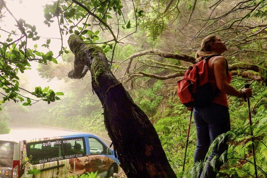 Tenerife: Anaga Rural Park Private Tour - Key highlights you’ll feel right away