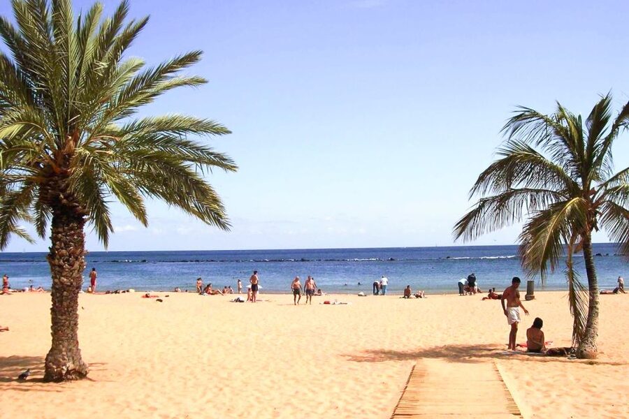 Tenerife: Anaga UNESCO VIP TOUR - Getting to the day’s route: pick-up and the meeting point