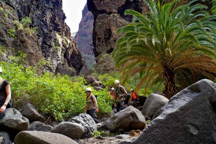 Tenerife Barranco de Masca: Guided hike + boat ride + transport - The 3.5-hour Masca ravine hike: how the descent really works