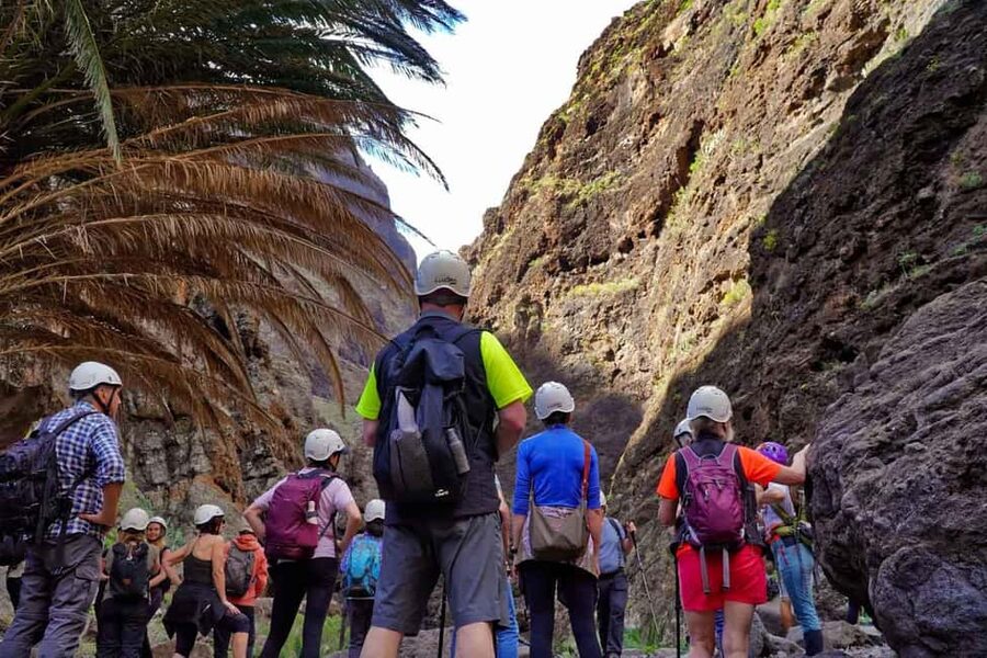 Tenerife Barranco de Masca: Guided hike + boat ride + transport - Price and value: does $171 per person make sense?