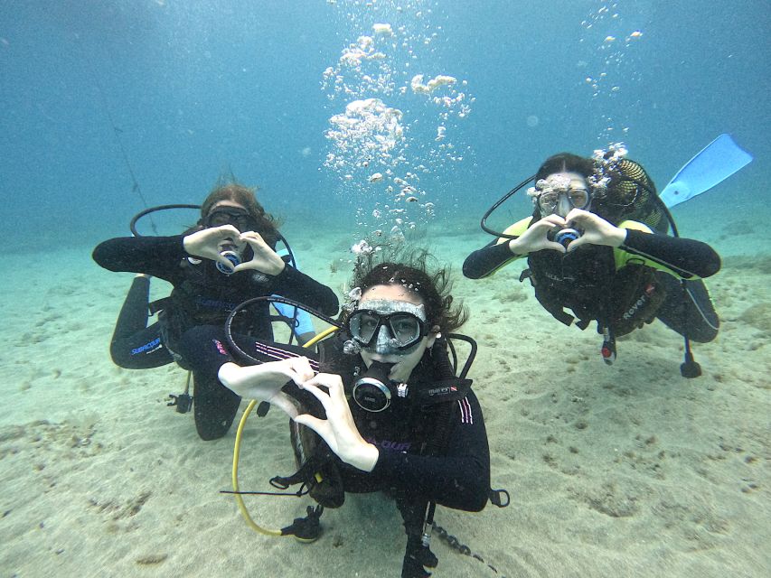 Tenerife: Beginner's Dive at a Spot with Turtle Sightings - Key Things I’d Circle Before You Go