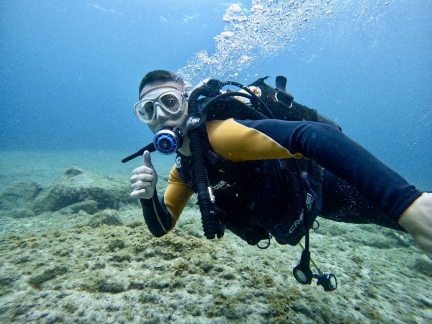 Tenerife: Beginner's Dive at a Spot with Turtle Sightings - Puerto Colón Start Point: Where You’ll Get Kitted Up