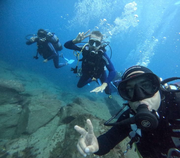 Tenerife: Beginner's Dive at a Spot with Turtle Sightings - Speedboat Along Tenerife’s South Coast: A Short Ride With Big Views