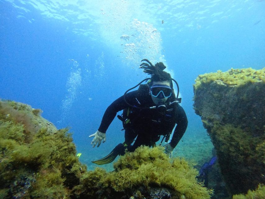 Tenerife: Beginner's Dive at a Spot with Turtle Sightings - Shallow Underwater Plan (Max 10 Meters): What You’ll Actually Do