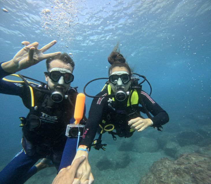 Tenerife: Beginner's Dive at a Spot with Turtle Sightings - Snorkeling Option: When You Want the Sea Without the Pressure
