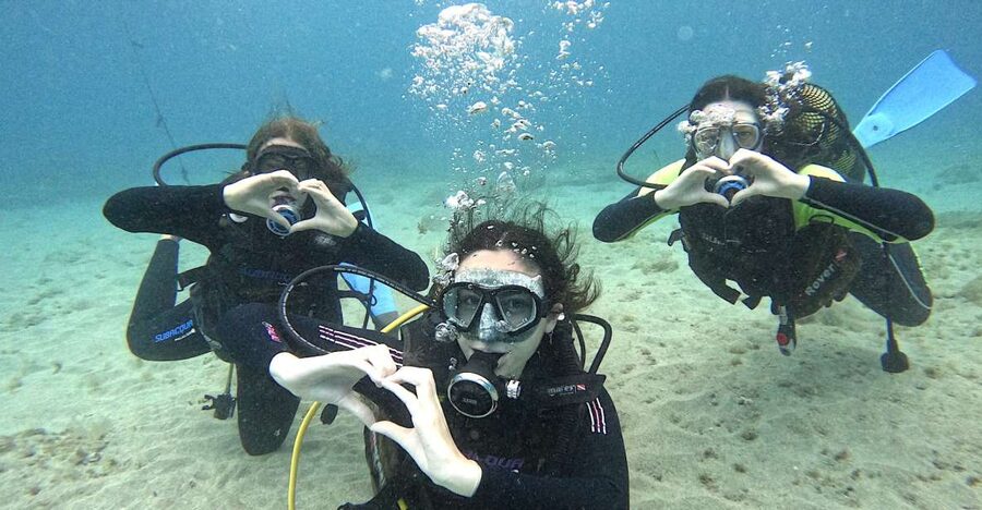 Tenerife: Beginner's Dive at a Spot with Turtle Sightings - The Safety Briefing That Sets the Tone for Beginners