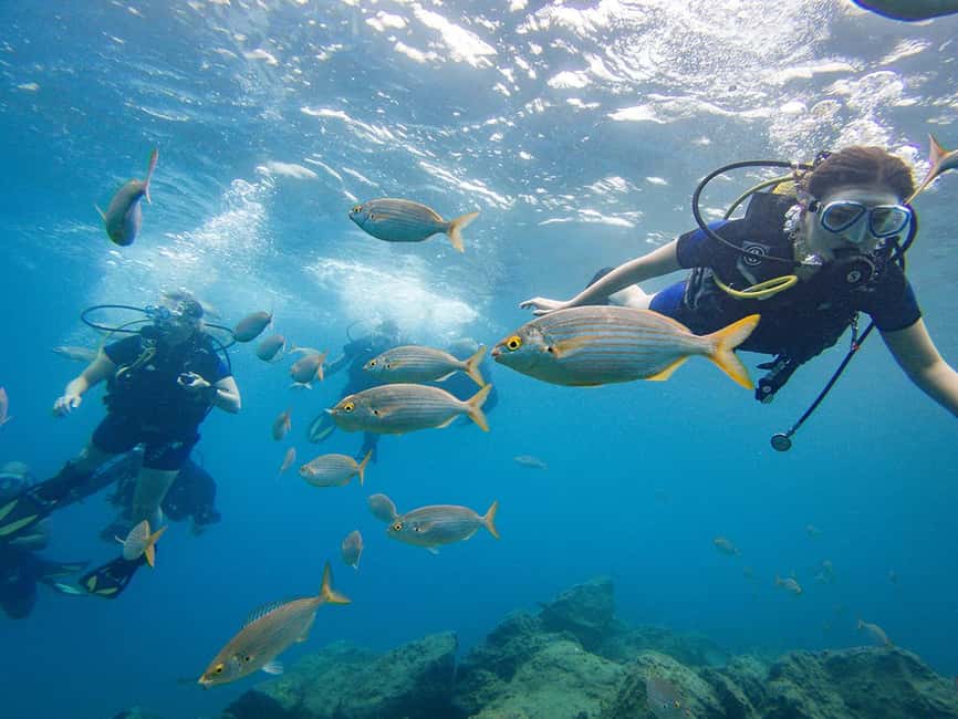 Tenerife: Beginner Scuba Dive Experience - Key Things That Make This Tenerife First Underwater Session Worth It