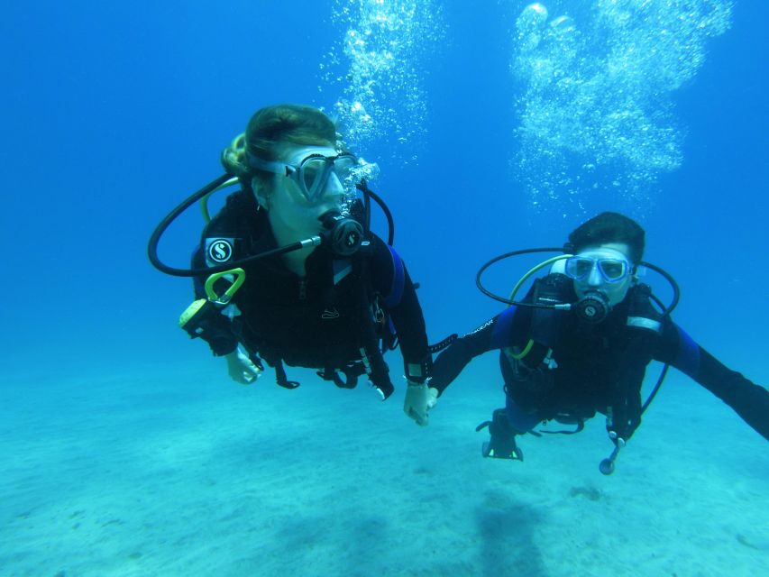 Tenerife: Beginner Scuba Dive Experience - Tips That Make Your First Underwater Experience Smoother