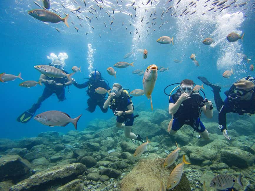 Tenerife: Beginner Scuba Dive Experience - Why Tenerife Is Such an Easy Place for Your First Scuba Session