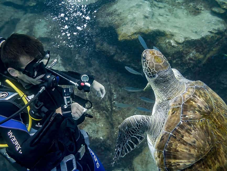 Tenerife: Beginner Scuba Dive Experience - Gear and Shallow-Water Practice, Where Beginners Actually Learn