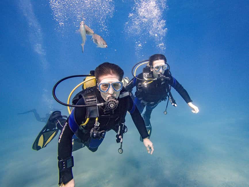 Tenerife: Beginner Scuba Dive Experience - One Guided Underwater Session: What You Might See Around El Fraile and Las Galletas