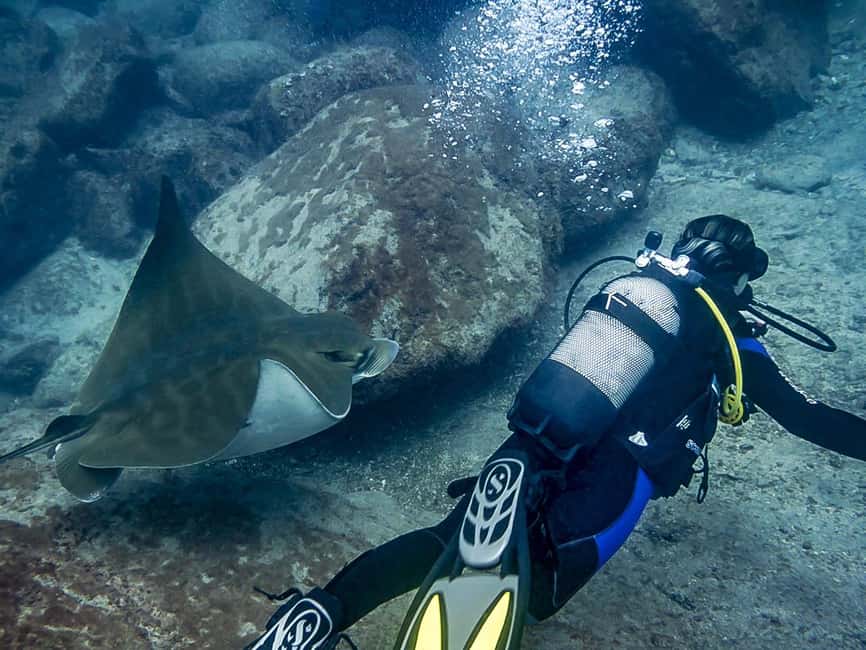 Tenerife: Beginner Scuba Dive Experience - The Instructor Experience: Clear Coaching, Close Supervision, and Real Calm