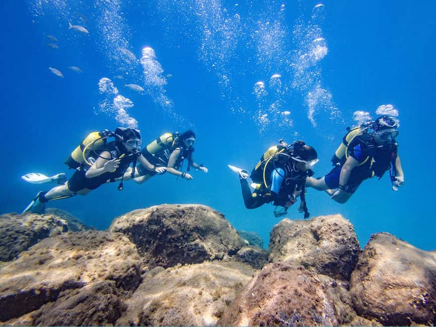 Tenerife: Beginner Scuba Dive Experience - Who This Tenerife Beginner Underwater Session Is Best For
