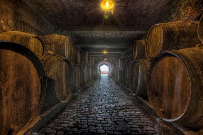Tenerife Bodegas Monje Winery Tour with Wine and Cheese Tasting - The 90-minute flow: guided winery tour plus a four-wine tasting