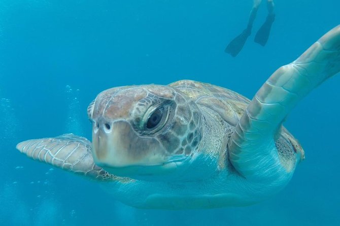Tenerife by Kayak Adventure in small group - Starting in Los Cristianos at 9:00 am, meeting and getting ready
