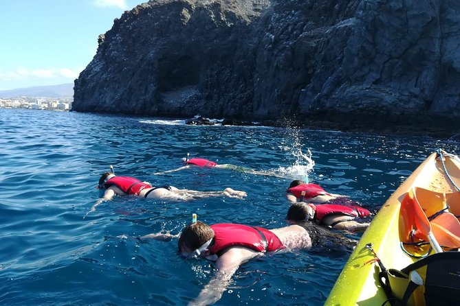 Tenerife by Kayak Adventure in small group - Dolphins and turtles spotting tips, what the guide actually adds