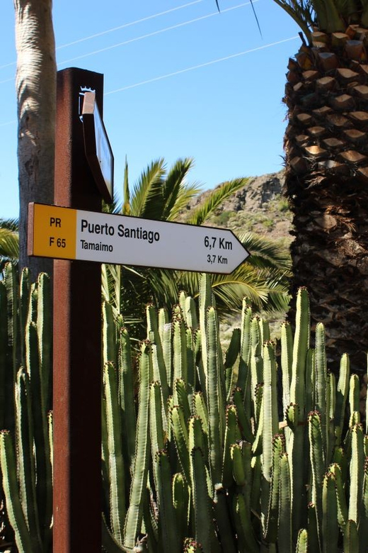 Tenerife : Camino Real hike - The 4-hour stony trek: what the route demands