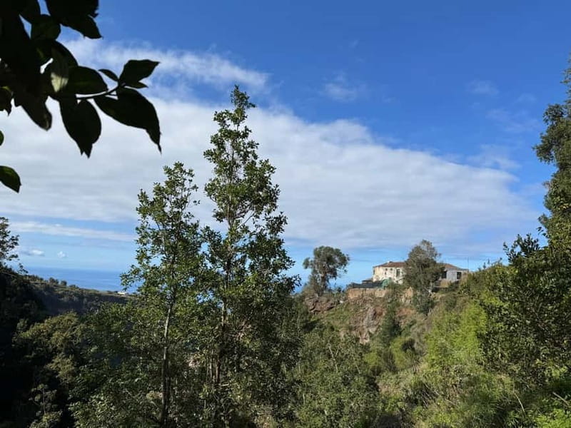 Tenerife: Canary History and Color Potatoes - Icod el Alto: a farming village, not a theme park