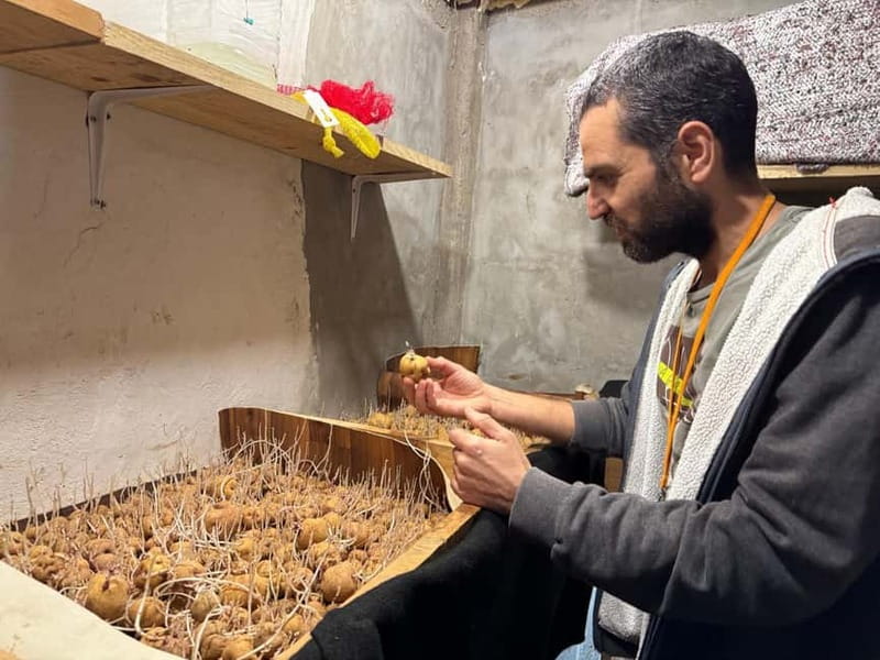 Tenerife: Canary History and Color Potatoes - Getting started at Parroquia de Nuestra Señora del Buen Viaje