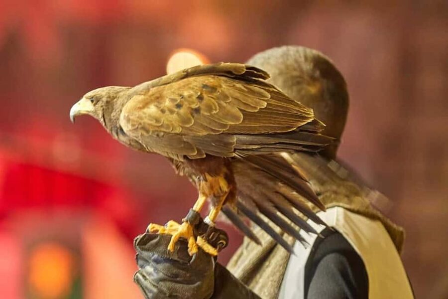 Tenerife: Castillo San Miguel Medieval Show and Banquet - Key highlights at Castillo San Miguel (Tenerife)