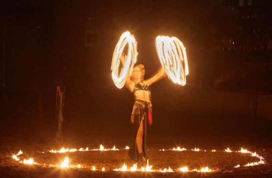 Tenerife: Castillo San Miguel Medieval Show and Banquet - Who this medieval banquet show is best for