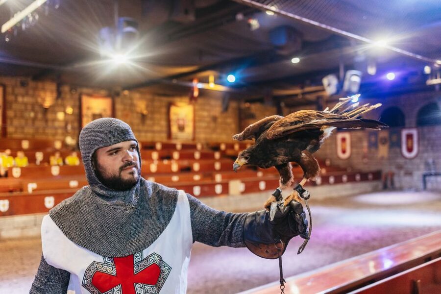 Tenerife: Castillo San Miguel Medieval Show and Banquet - Where Castillo San Miguel fits in your Tenerife plans