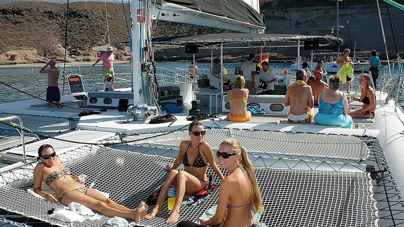 Tenerife: Catamaran Cruise with an Open Bar - Key Highlights Worth Planning For