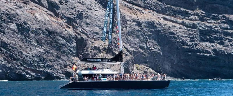 Tenerife: Catamaran Cruise with an Open Bar - First Steps: Pickup, Coach Seats, and Boarding the Freebird
