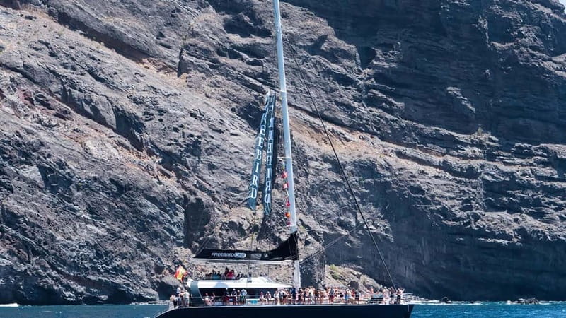 Tenerife: Catamaran Cruise with an Open Bar - Along the Western Coast: Views, Wildlife, and the Best Deck Time